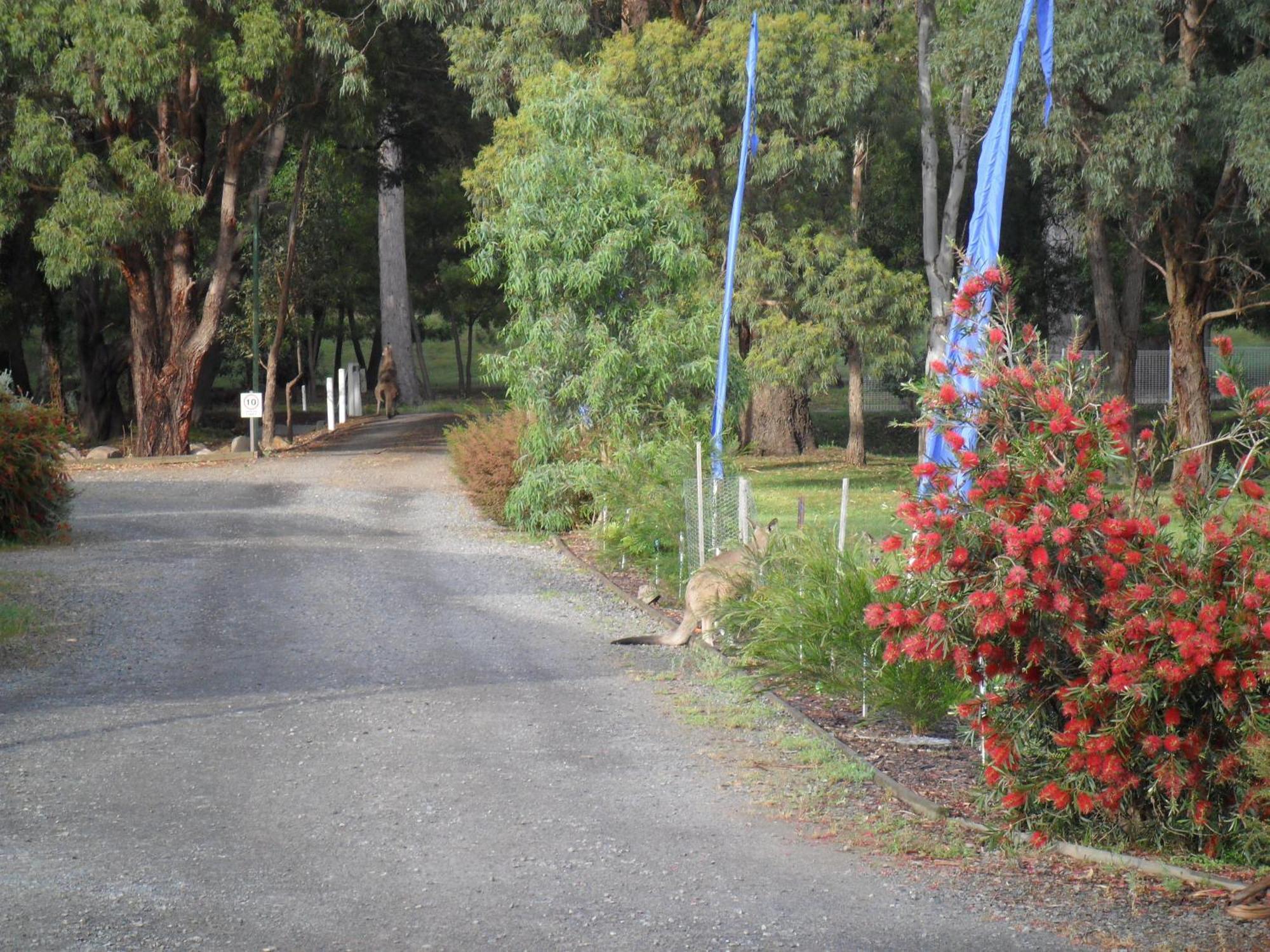 Grampians Chalets 홀스갭 외부 사진