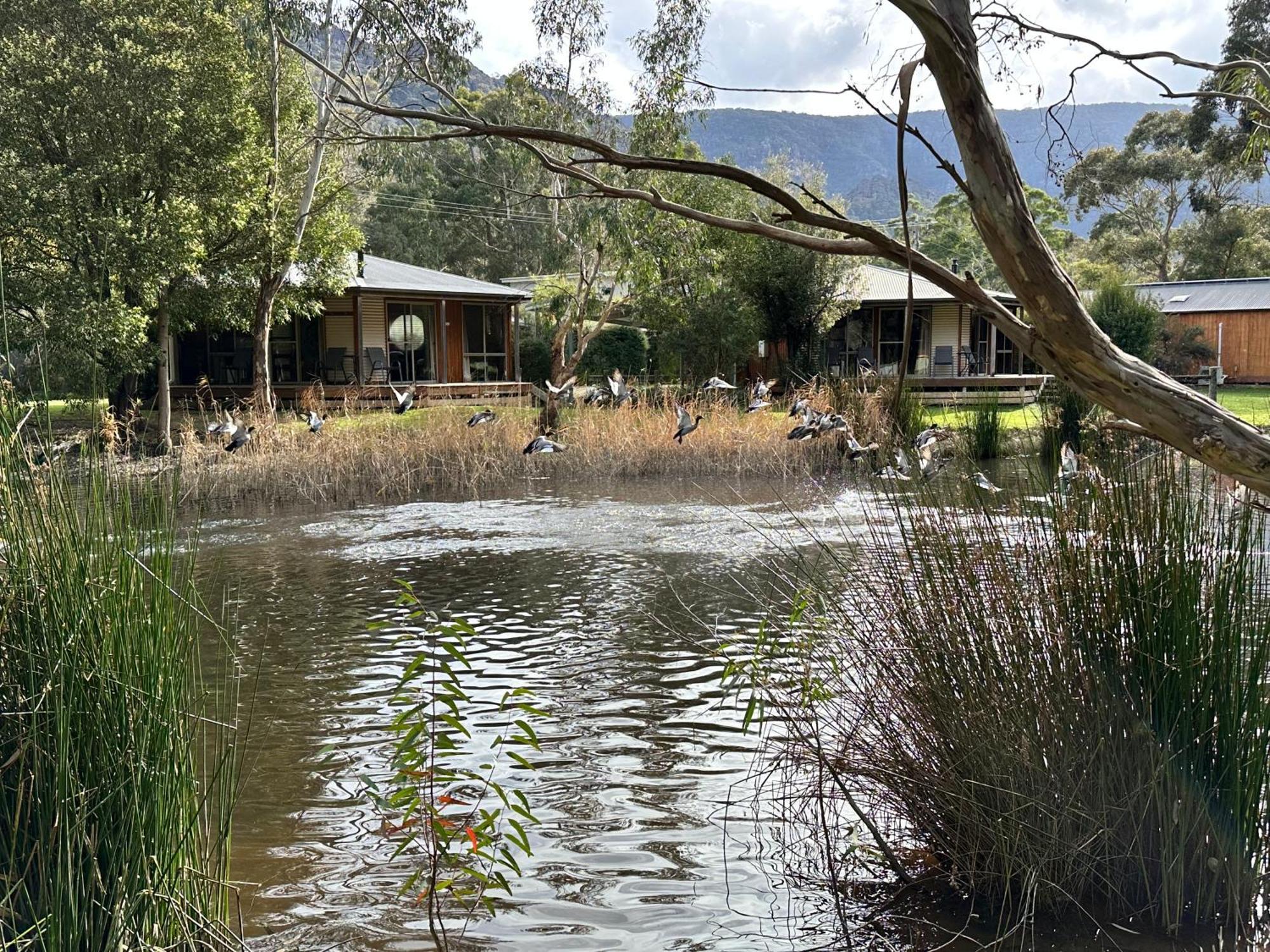 Grampians Chalets 홀스갭 외부 사진